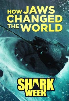 How Jaws Changed the World