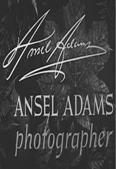 Ansel Adams, Photographer